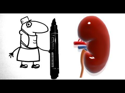 Renal colic -Почечная колика. Почему возникает боль?