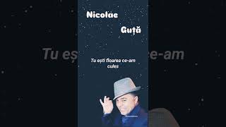 Nicolae Guță - Tu ești floarea ce-am ales