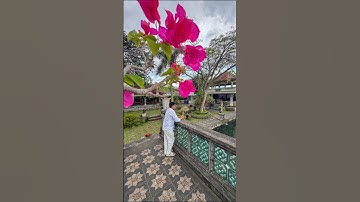 How to remove people in Lightroom using generative ai. #lightroomediting