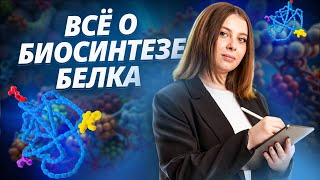 картинка: Как решать задание 27 на БИОСИНТЕЗ БЕЛКА из ЕГЭ по Биологии | Биология ЕГЭ I Умскул