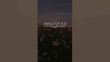 قران كريم راحه نفسيه شيخ ياسر الدوسري #قران_كريم #راحة_نفسية #لايك