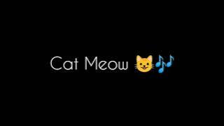 Cat notification sound ringtone ।। Cat meow notification ringtone ।। Cute cat sms tone #trending