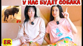 У нас будет СОБАКА  к Новому Году / распаковка ЛЮБИМЫЙ ВАСИЛЕК / Изи роза / Алиса Изи  / Easy Rose