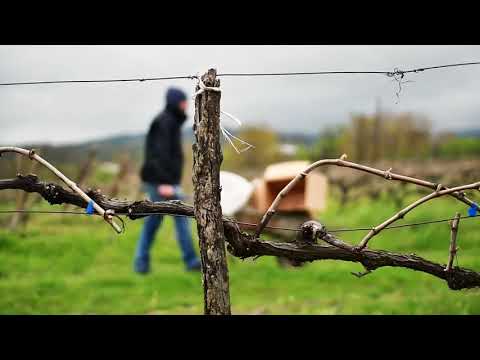 #დაიცავიგარემოშენგარშემო