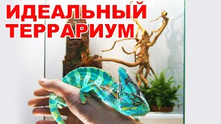 Хамелеон. Как сделать идеальный террариум для йеменского хамелеона. DIY terrarium for the chameleon.