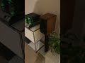 Sonus faber minima ii  mcintosh ma252  english bulldog noises