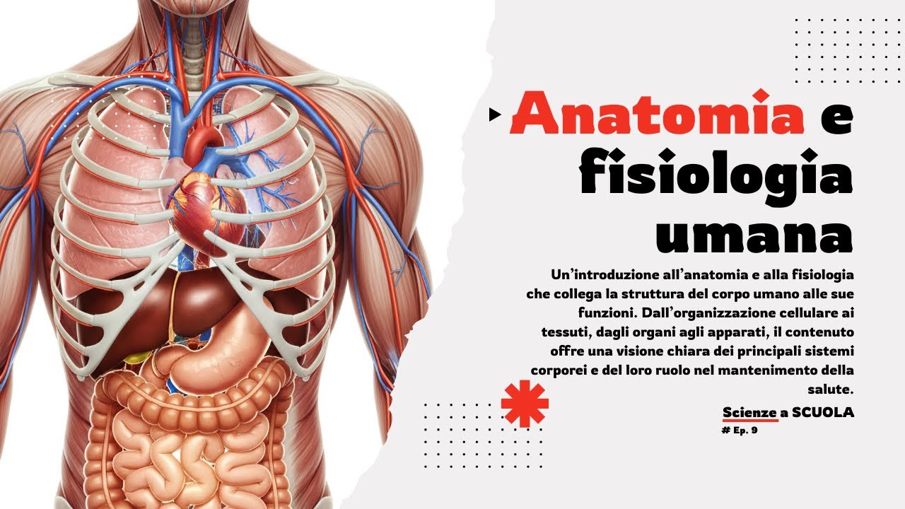 Anatomia e Fisiologia Umana (