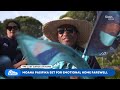 Reds looking to cement finals spot in emotional Moana Pasifika clash | Rugby Heaven
