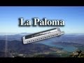 La Paloma -Harmonica Solo-