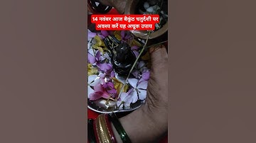 14 नवंबर आज बैकुंठ चतुर्दशी पर बच्चों के पढ़ाई और दिमाग बढ़ाने के लिए अचूक उपाय जरूर करें #शार्ट