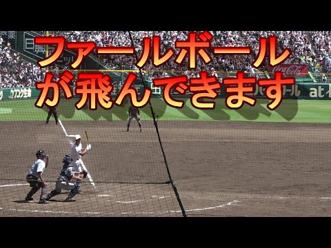 ファールボールを素手で捕ったら周りから拍手されました - YouTube