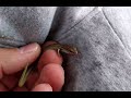 Глазчатый халцид (Chalcides ocellatus) и гологлаз (Ablepharus budaki) прямо в городе. Пафос (Кипр).
