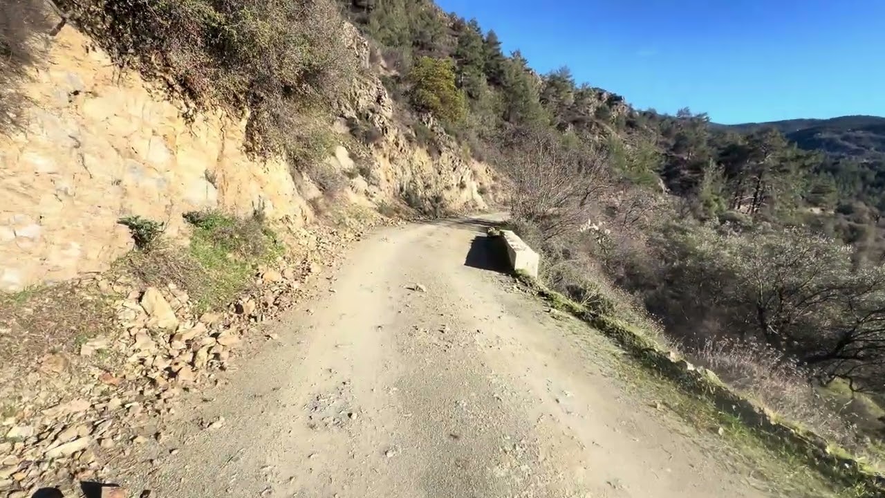 walking in the forest in the Republic of Cyprus 🇨🇾 | the earth’s nature 