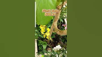 Stay organized with a stylish bamboo bread box for fresh bread