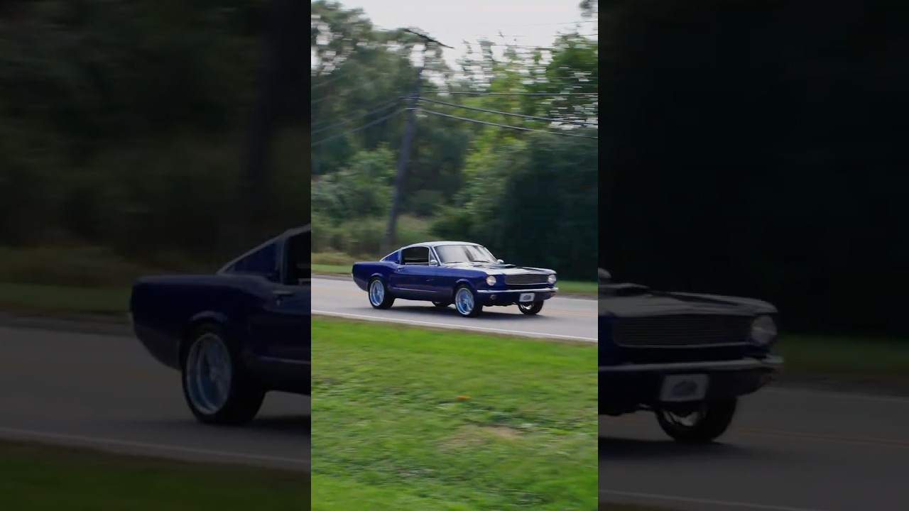 1966 Ford Mustang Buzz By! | Volo Museum V21998