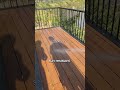 Why This Outdoor Floor Is Taking Over Social Media#deckbuilding#deckinginstallation#outdoorpatio