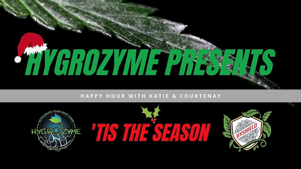 Happy Hour with Katie & Courtenay Vol III - Christmas Giveaway