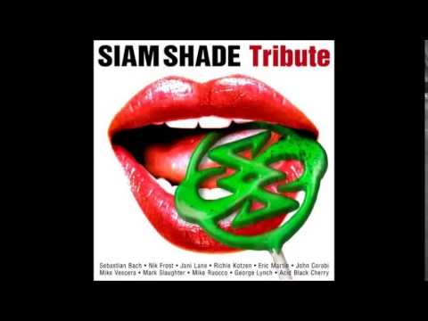 Jani lane - 1/3 No Junjou Na aKnjou (alt.version)