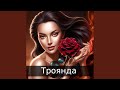 Троянда Троянда
