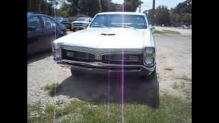 Gto For Yourbeekeeper