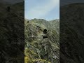 Police chase ends in complete disaster… - BeamNG.Drive #shorts #beamngdrive #gaming #beamngcrashes
