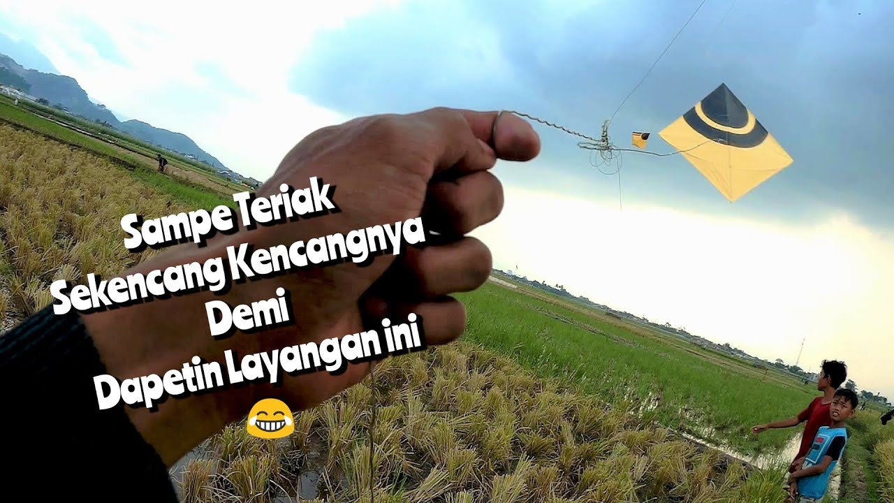 Ngebandang Layangan Gede di Sawah