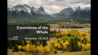 Committee of the Whole | November 18, 2025