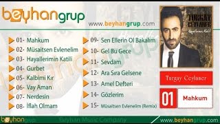 Turgay Ceylaner - Gurbet Resimi