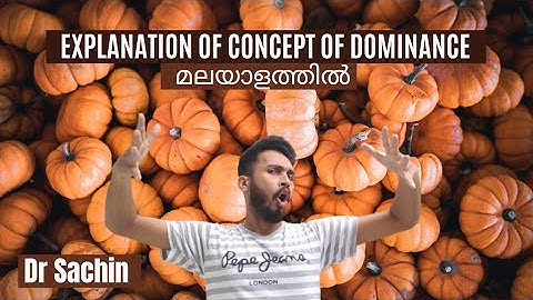 Explanation of the concept of dominance | class 12 | knowledge vlogger | Malayalam