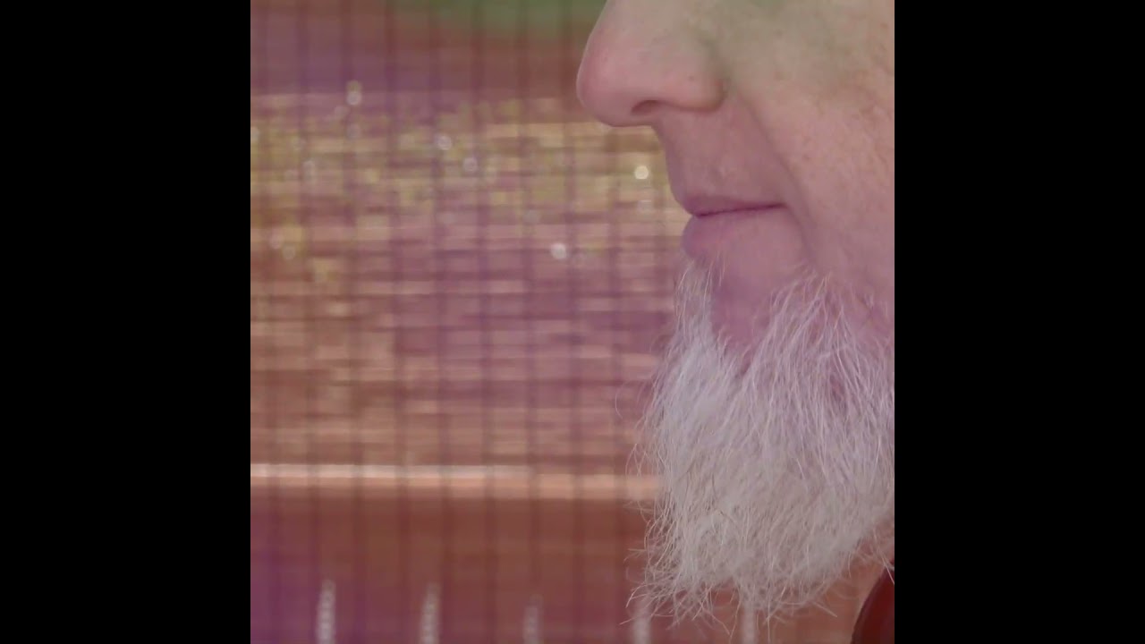 Gentle Euphoria with Delta 8 Tarts