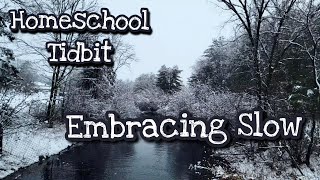 Embracing Slow | Homeschool Tidbits