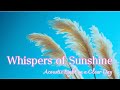 Whispers of Sunshine – Acoustic Guitar for Clear Sky Days  #beatstostudy #music #studybeats  #relax