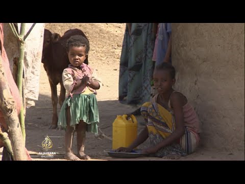 Video: Pušio Sam Usta Divljom Hijenom U Etiopiji I Preživio Da Bih Pričao Priču