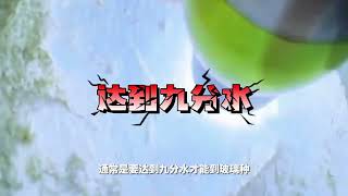 翡翠 珠寶直播 ：玩翡翠原石還沒切出玻璃種？快來看高冰玻璃種這「三劍客」，保證你笑著秒懂，不看虧到捶地！#翡翠 #翡翠直播 #翡翠原石 #珠宝 #珠寶 #翡翠珠寶 #Shorts