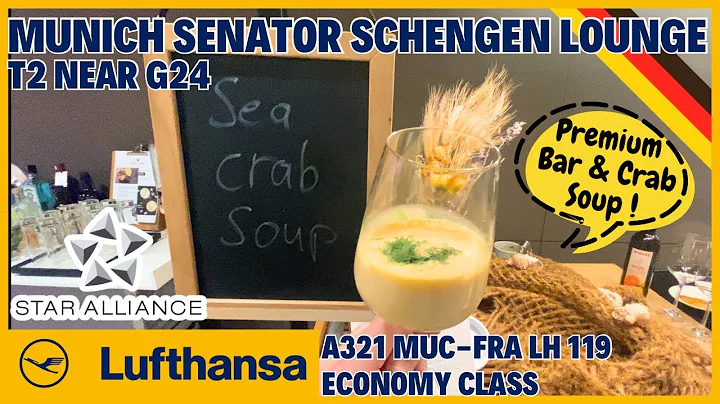 🇩🇪 Lufthansa Senator Lounge G24 Schengen Review LH119 Economy Class Munich to Frankfurt A321 德國漢莎