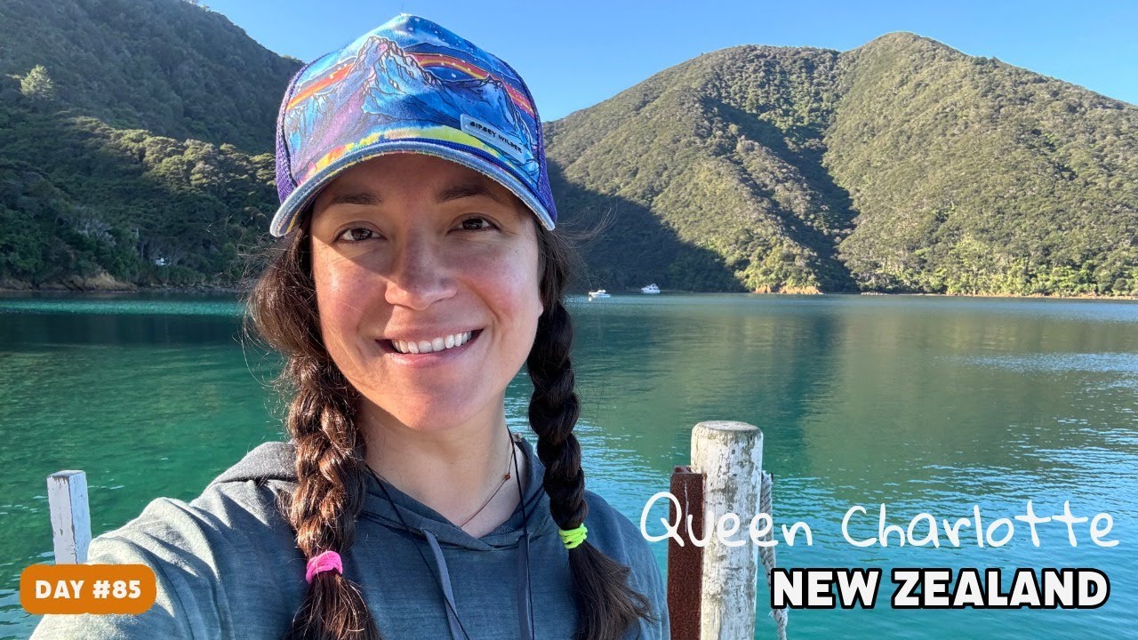 The bluest blues...and sheep | Backpacking Te Araroa Queen Charlotte Track, South Island New Zealand