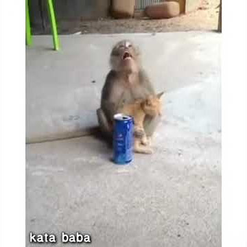 kata baba video singkat 30 detik