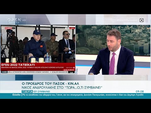 Ο Νίκος Ανδρουλάκης