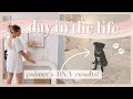 DAY IN THE LIFE | Palmer's DNA results, tidying up the house, & errands!