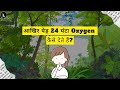 All day all night how trees give us oxygen 24 hours oxygen plant