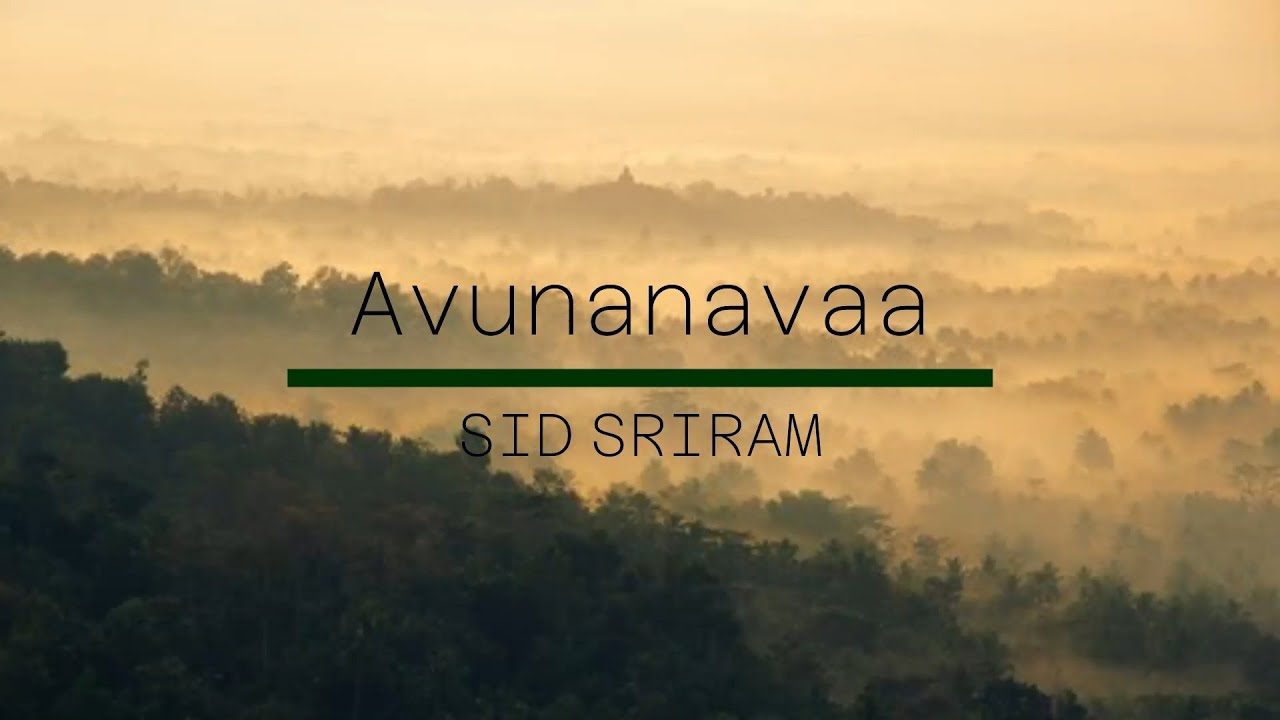 Avunanavaa   Lyric Video Ori Devuda Vishwak SenMithila Ashwath Marimuthu Leon James Sid Sriram