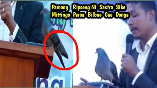 Download lagu Pamong Ripseng Ni Sastro Sike Mittingo Paroa Bilbae Gae donga