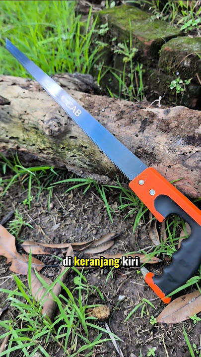 Sharp Wood Saw