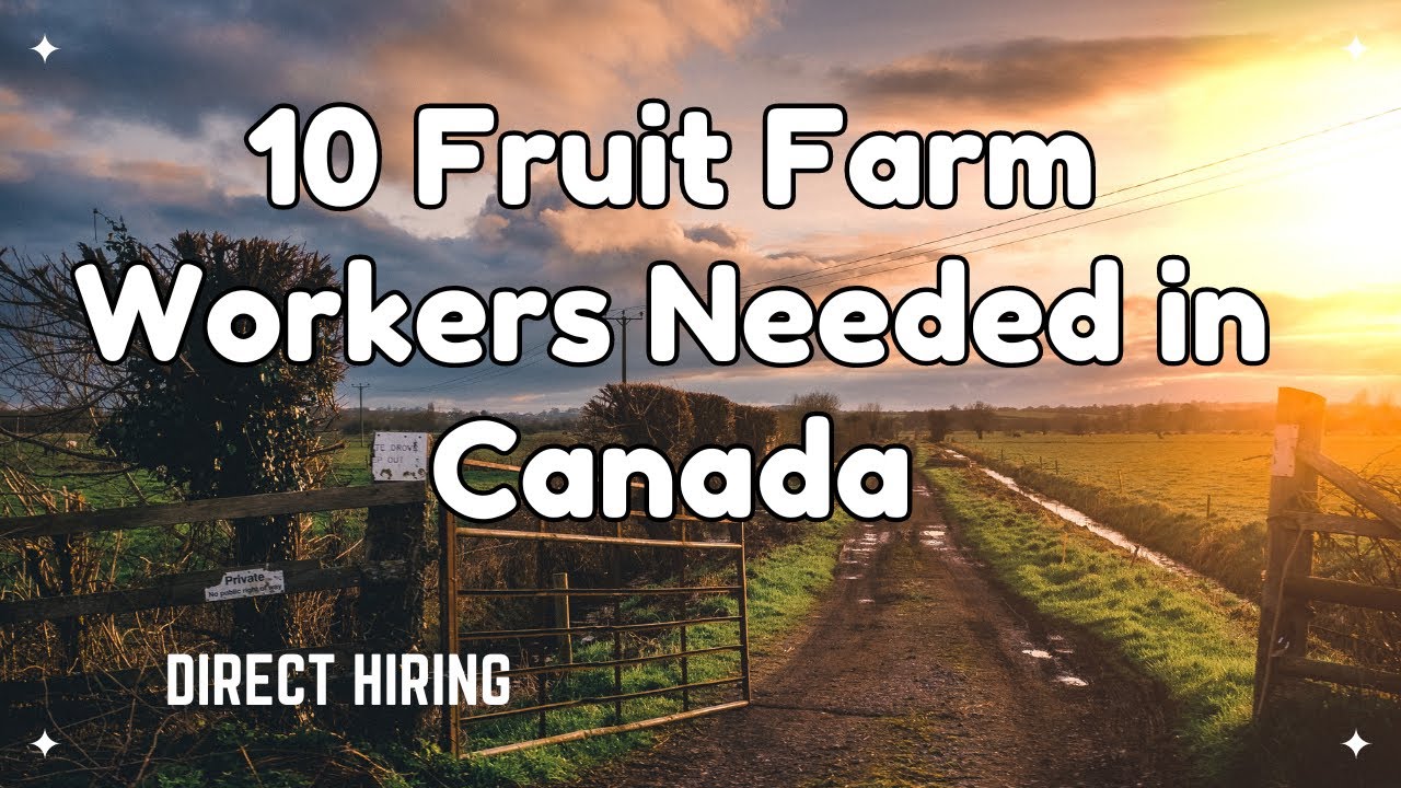 10 Fruit Farm Workers Needed in Canada I Direct Hiring I Buhay Canada YouTube