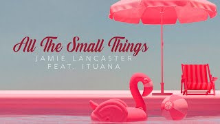 Video thumbnail of "All the Small Things (Jazz Cover) - Ituana"
