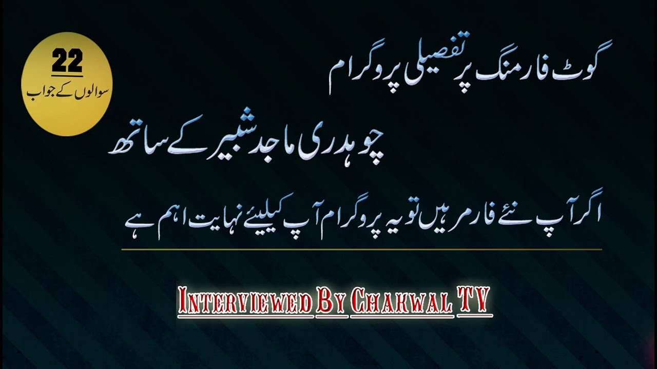 Detail Discussion About Goat Farming. Chakwal Goat Farm. Goat Farming in Pakistan.