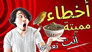 أشياء تضر طيور الكناري و الطيور الأخرى يجب تفاديها