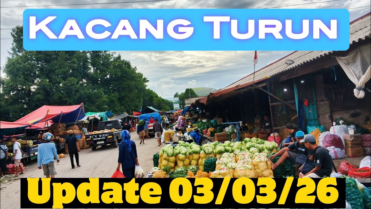 Harga Cabe hari ini standar kacang turun update hrga terbaru pasar grosir ngronggo kediri(03/03/26)