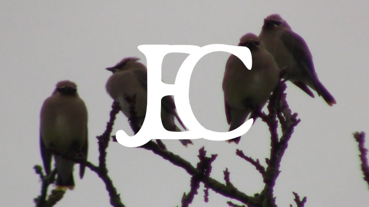 good morning show 0302