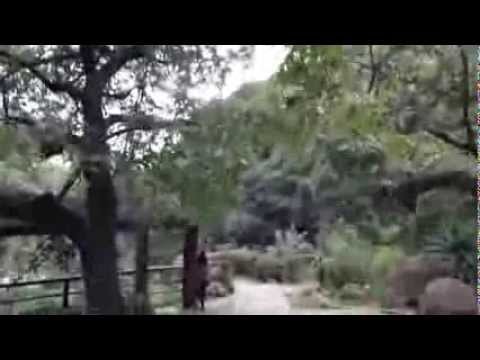 Mikami Kan Kan Mikami アラシ・雨・アラシ Mikami Kan Kan Mikami アラシ・雨・アラシ